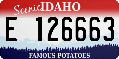 ID license plate E126663
