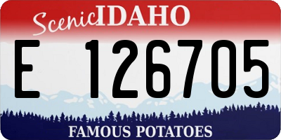 ID license plate E126705