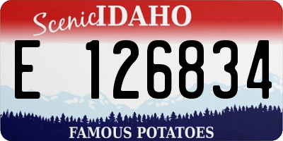 ID license plate E126834