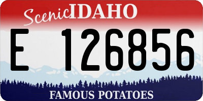ID license plate E126856