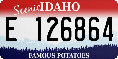 ID license plate E126864
