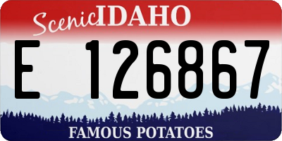 ID license plate E126867