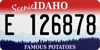 ID license plate E126878