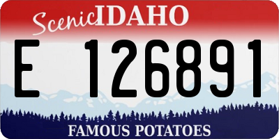 ID license plate E126891