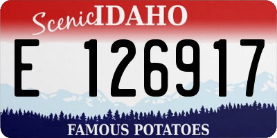 ID license plate E126917