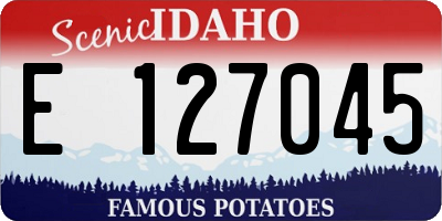 ID license plate E127045