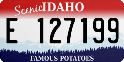 ID license plate E127199