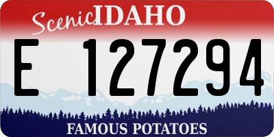 ID license plate E127294