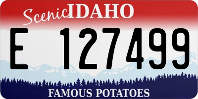 ID license plate E127499