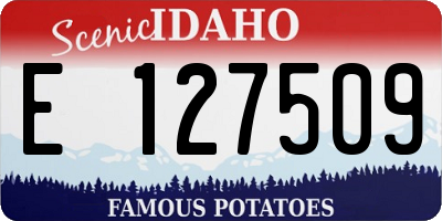 ID license plate E127509