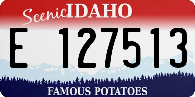 ID license plate E127513