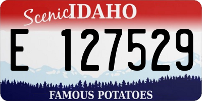 ID license plate E127529