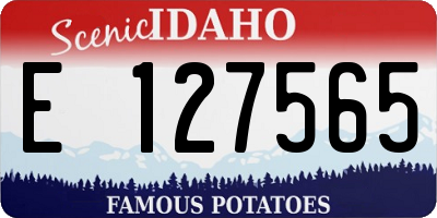 ID license plate E127565