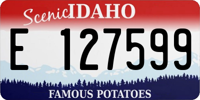 ID license plate E127599