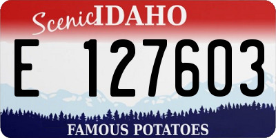 ID license plate E127603