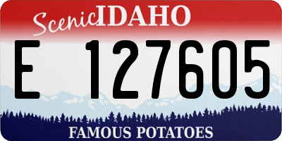 ID license plate E127605
