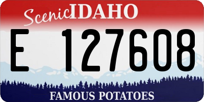 ID license plate E127608