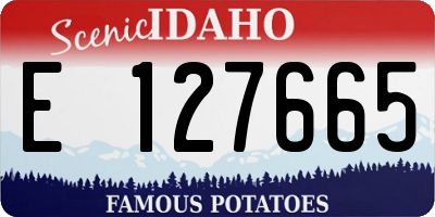 ID license plate E127665