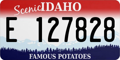 ID license plate E127828