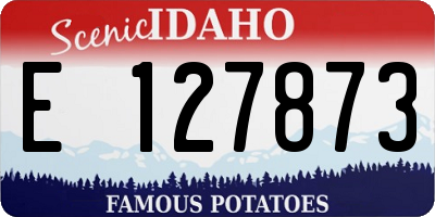 ID license plate E127873