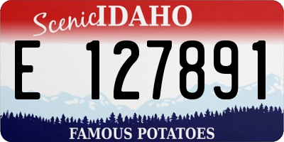 ID license plate E127891