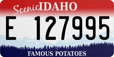 ID license plate E127995