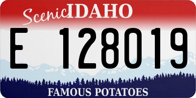 ID license plate E128019