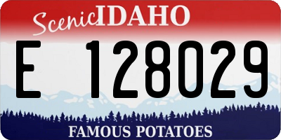 ID license plate E128029