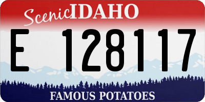 ID license plate E128117