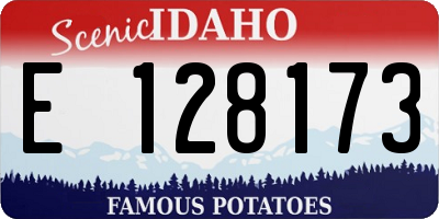 ID license plate E128173