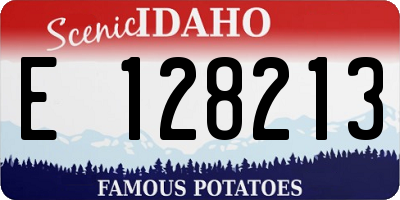 ID license plate E128213