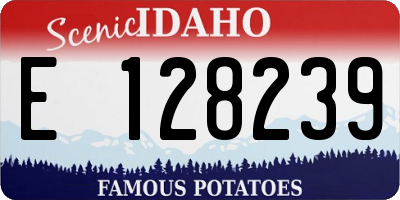 ID license plate E128239