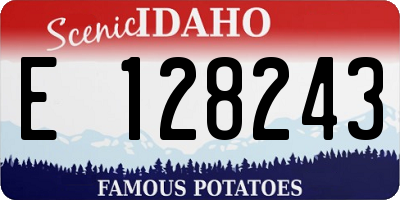 ID license plate E128243