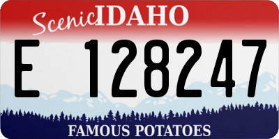 ID license plate E128247