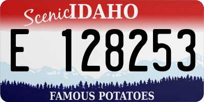 ID license plate E128253