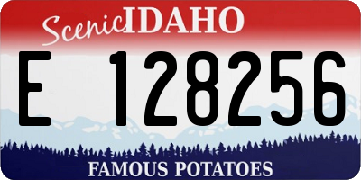 ID license plate E128256