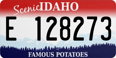 ID license plate E128273