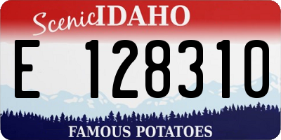 ID license plate E128310