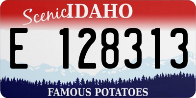 ID license plate E128313