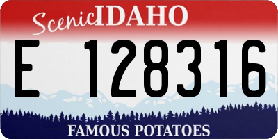 ID license plate E128316