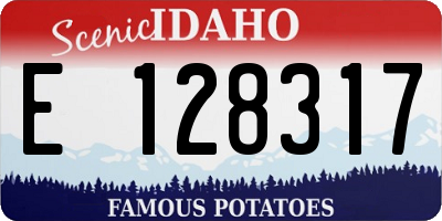 ID license plate E128317
