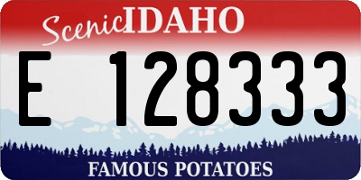 ID license plate E128333