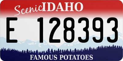 ID license plate E128393