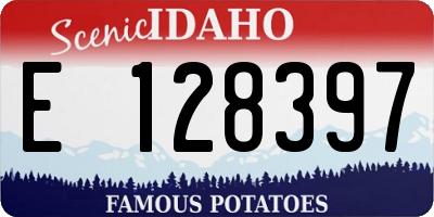 ID license plate E128397