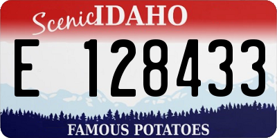 ID license plate E128433
