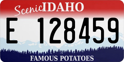 ID license plate E128459