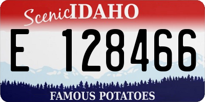ID license plate E128466