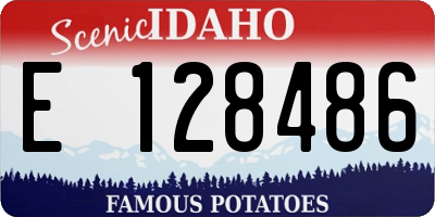 ID license plate E128486