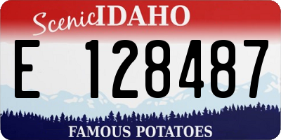 ID license plate E128487