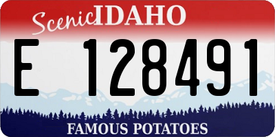 ID license plate E128491